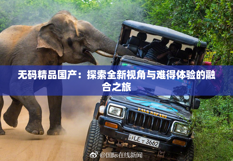 无码精品国产：探索全新视角与难得体验的融合之旅