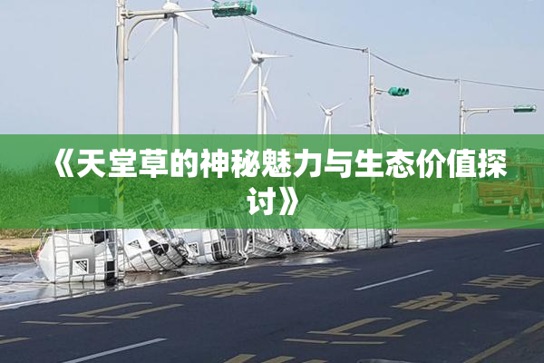 《天堂草的神秘魅力与生态价值探讨》