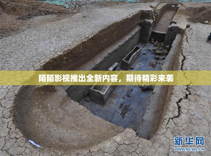 陌陌影视推出全新内容，期待精彩来袭