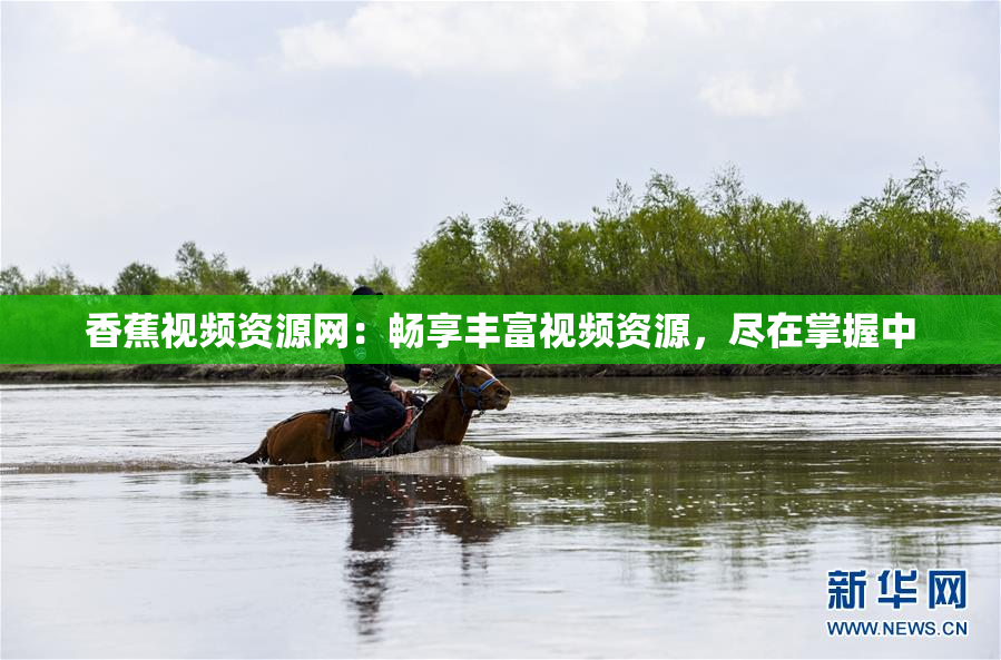 香蕉视频资源网：畅享丰富视频资源，尽在掌握中