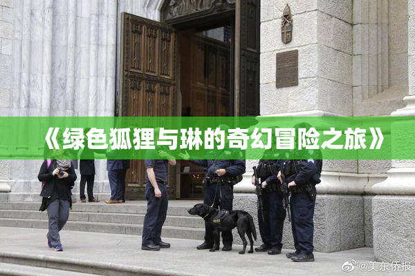 《绿色狐狸与琳的奇幻冒险之旅》