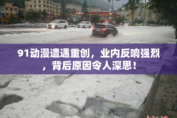 91动漫遭遇重创，业内反响强烈，背后原因令人深思！