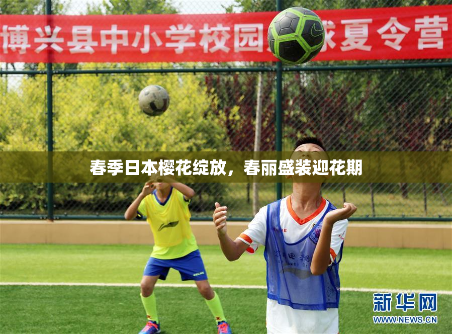 春季日本樱花绽放，春丽盛装迎花期