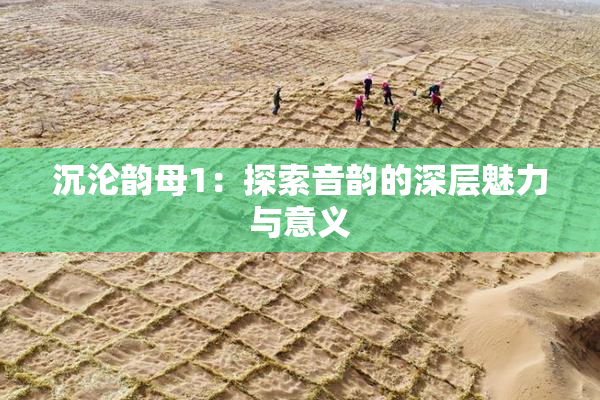 沉沦韵母1：探索音韵的深层魅力与意义