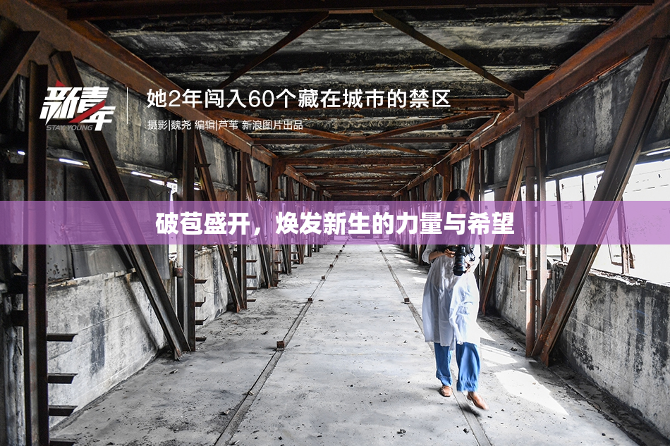 破苞盛开，焕发新生的力量与希望