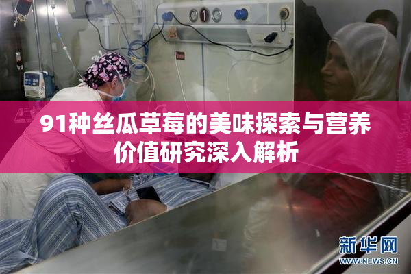 91种丝瓜草莓的美味探索与营养价值研究深入解析