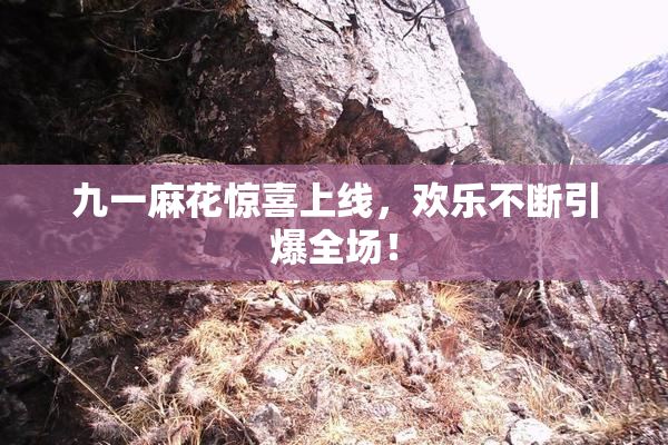 九一麻花惊喜上线，欢乐不断引爆全场！