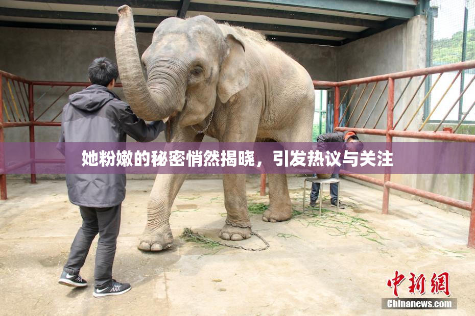 她粉嫩的秘密悄然揭晓，引发热议与关注