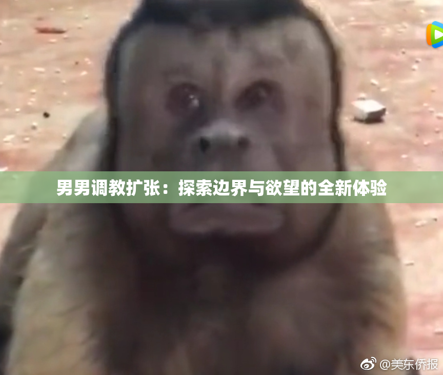男男调教扩张：探索边界与欲望的全新体验