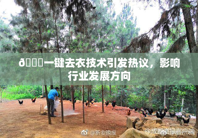 🔞一键去衣技术引发热议，影响行业发展方向