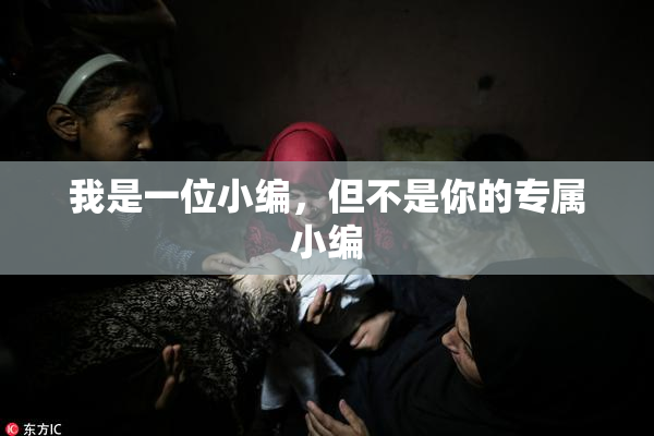 我是一位小编，但不是你的专属小编