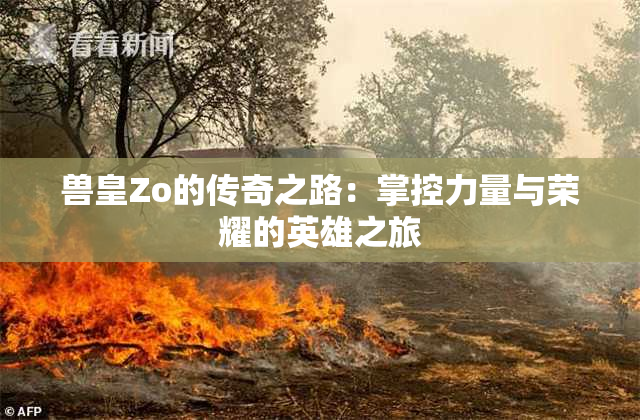 兽皇Zo的传奇之路：掌控力量与荣耀的英雄之旅
