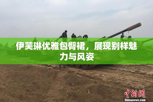 伊芙琳优雅包臀裙，展现别样魅力与风姿