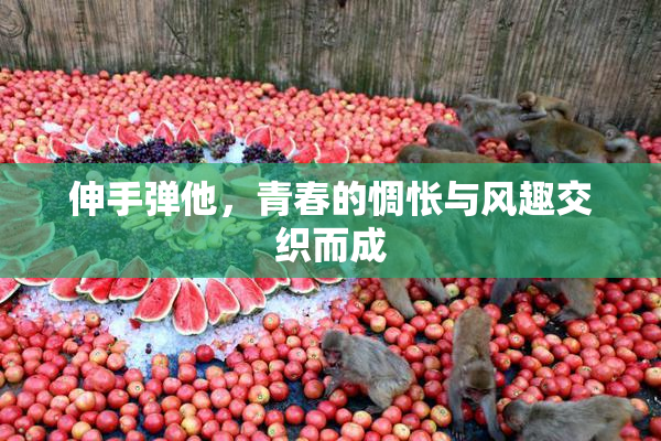 伸手弹他，青春的惆怅与风趣交织而成