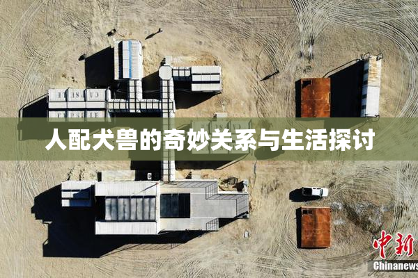 人配犬兽的奇妙关系与生活探讨