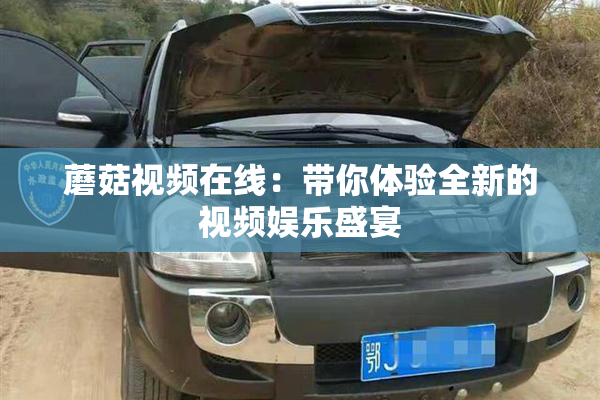 蘑菇视频在线：带你体验全新的视频娱乐盛宴