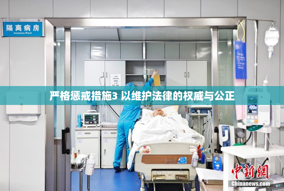严格惩戒措施3 以维护法律的权威与公正