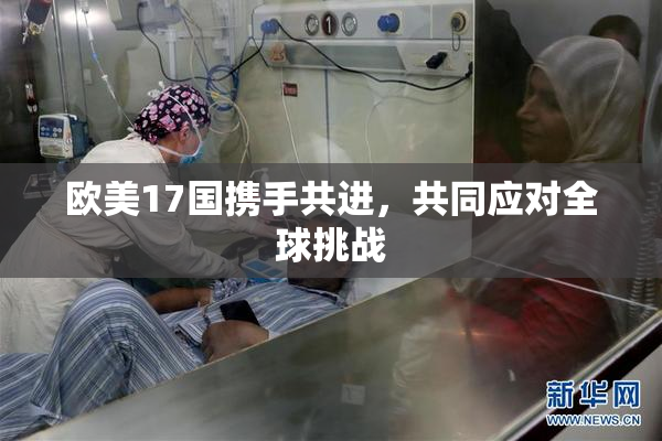 欧美17国携手共进，共同应对全球挑战