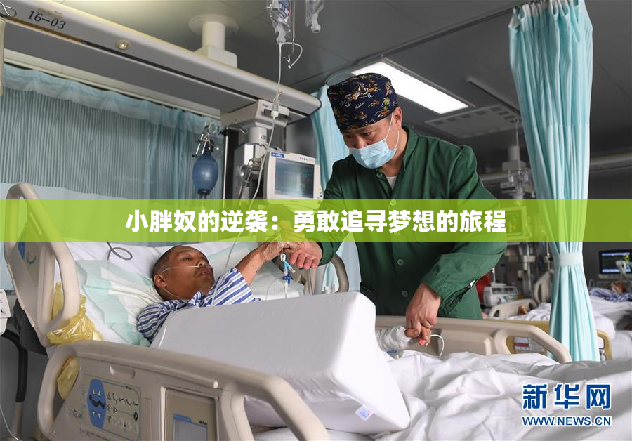 小胖奴的逆袭：勇敢追寻梦想的旅程
