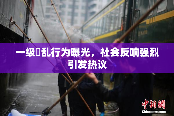 一级婬乱行为曝光，社会反响强烈引发热议