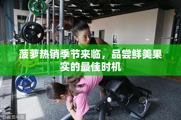 菠萝热销季节来临，品尝鲜美果实的最佳时机