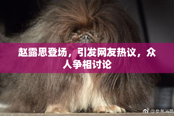 赵露思登场，引发网友热议，众人争相讨论