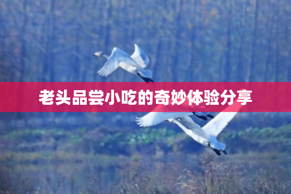 老头品尝小吃的奇妙体验分享