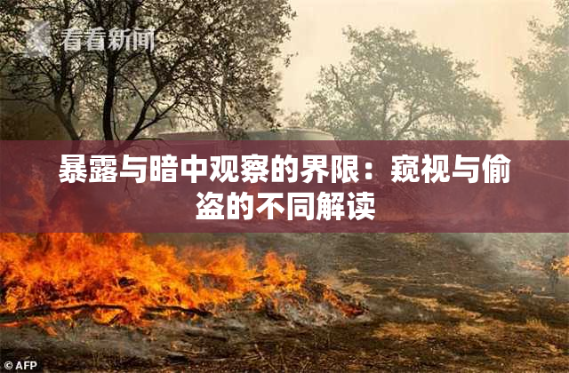 暴露与暗中观察的界限：窥视与偷盗的不同解读