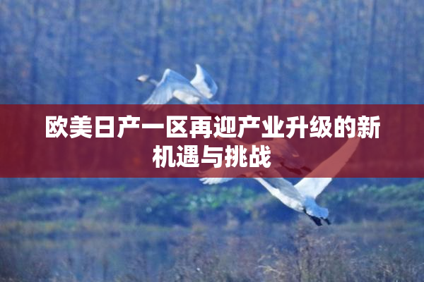 欧美日产一区再迎产业升级的新机遇与挑战