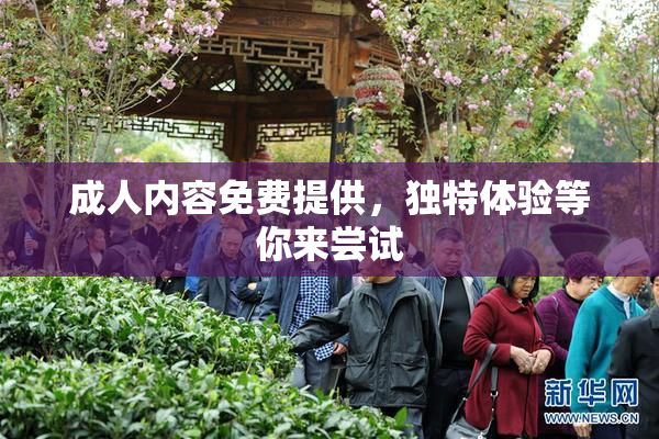 成人内容免费提供，独特体验等你来尝试