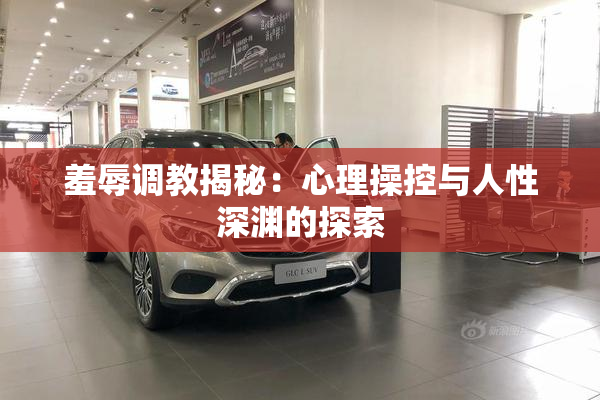 羞辱调教揭秘：心理操控与人性深渊的探索