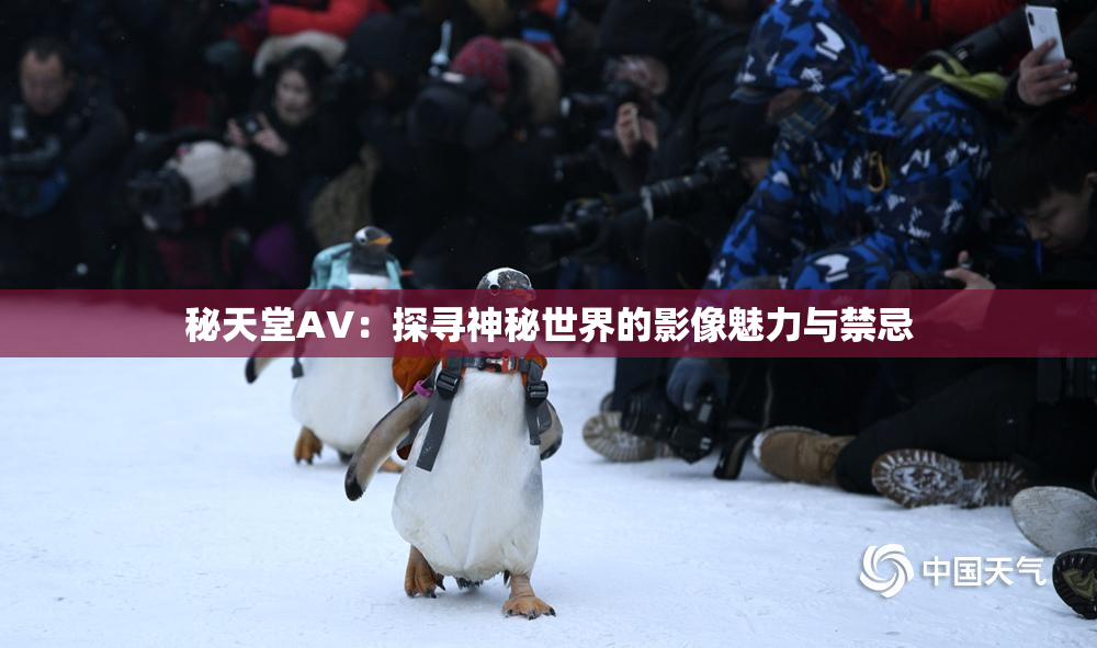 秘天堂AV：探寻神秘世界的影像魅力与禁忌