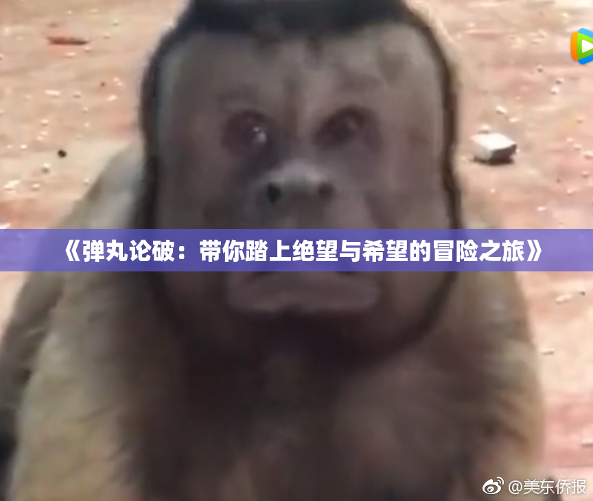 《弹丸论破：带你踏上绝望与希望的冒险之旅》