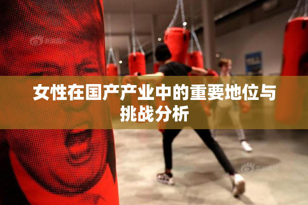 女性在国产产业中的重要地位与挑战分析