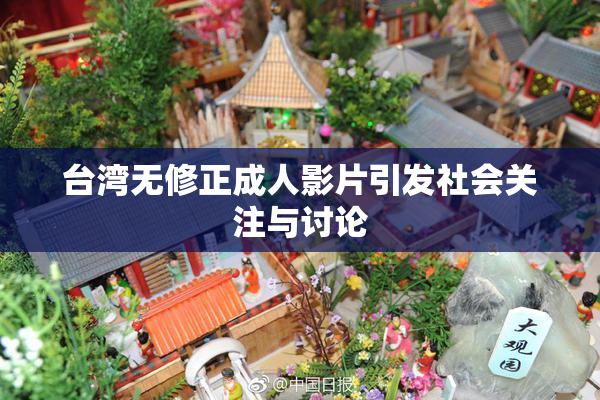 台湾无修正成人影片引发社会关注与讨论