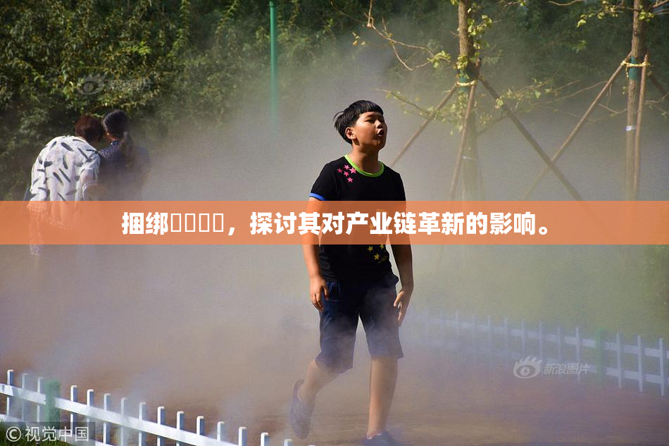 捆绑❌‌❌‌，探讨其对产业链革新的影响。