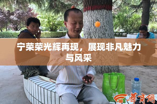 宁荣荣光辉再现，展现非凡魅力与风采