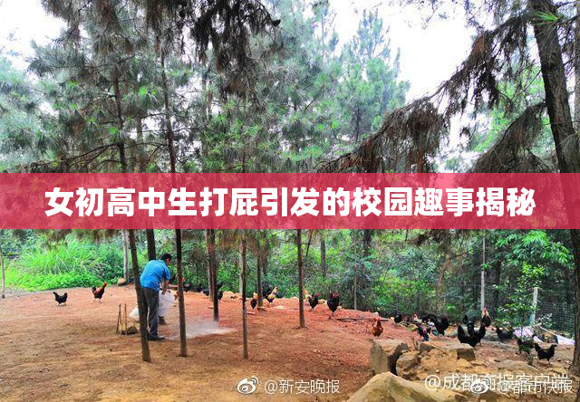 女初高中生打屁引发的校园趣事揭秘