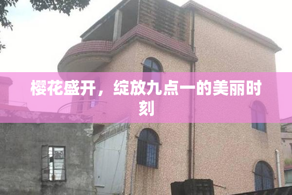 樱花盛开，绽放九点一的美丽时刻