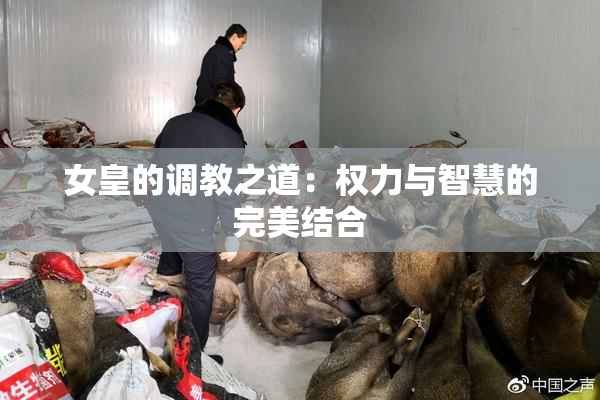 女皇的调教之道：权力与智慧的完美结合
