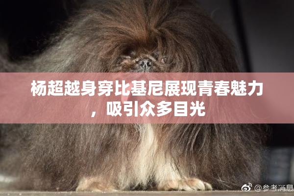 杨超越身穿比基尼展现青春魅力，吸引众多目光