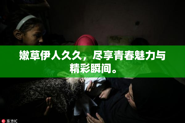 嫩草伊人久久，尽享青春魅力与精彩瞬间。