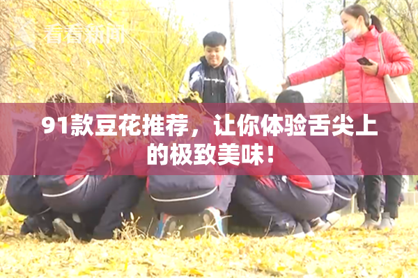 91款豆花推荐，让你体验舌尖上的极致美味！