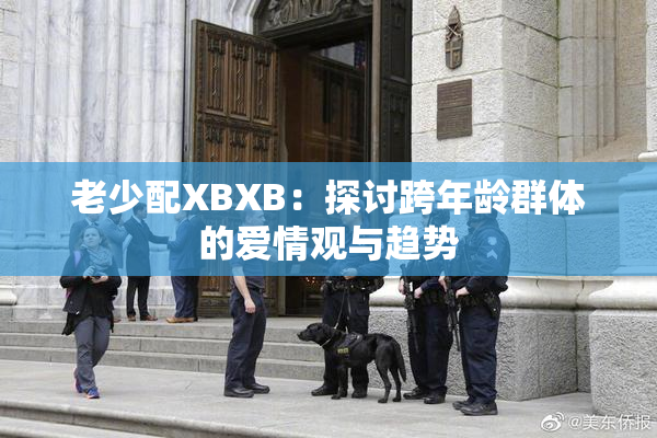 老少配XBXB：探讨跨年龄群体的爱情观与趋势