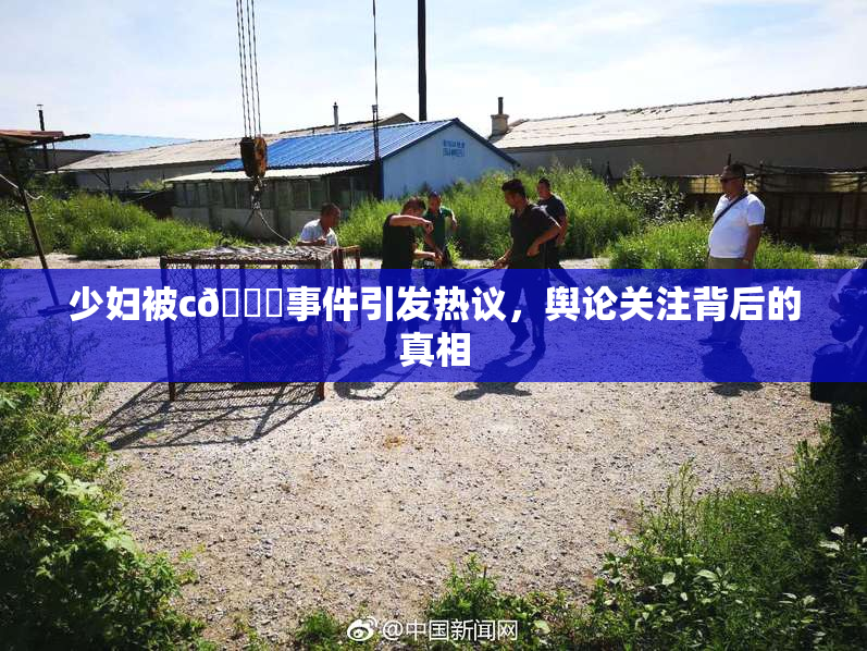 少妇被c🔞事件引发热议，舆论关注背后的真相