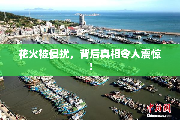 花火被侵扰，背后真相令人震惊！