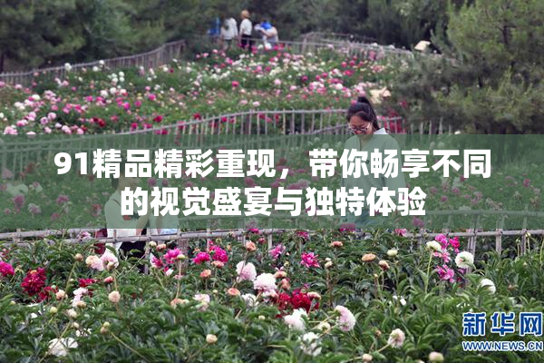 91精品精彩重现，带你畅享不同的视觉盛宴与独特体验
