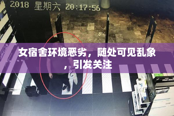 女宿舍环境恶劣，随处可见乱象，引发关注
