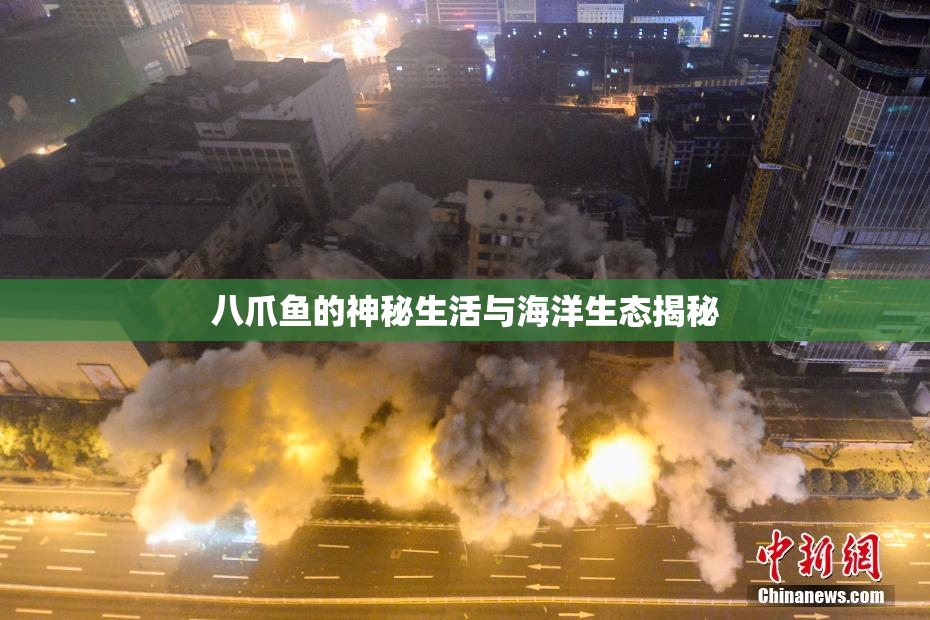 八爪鱼的神秘生活与海洋生态揭秘