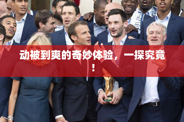 动被到爽的奇妙体验，一探究竟！